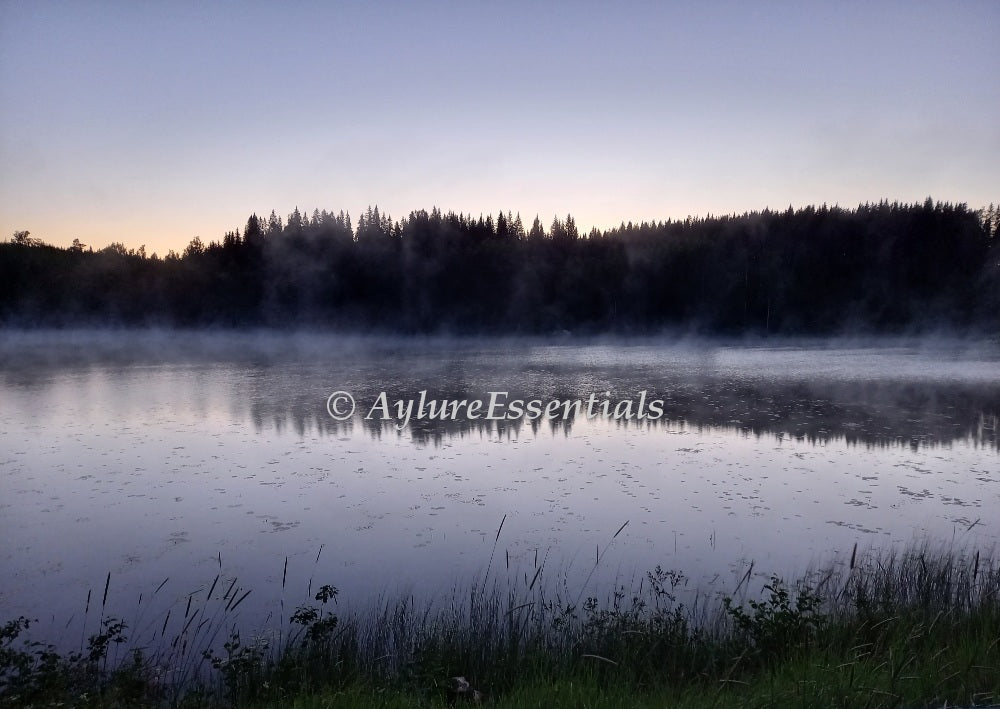 A Finnish summer night lake view – mist rising over the water, dark forest silhouette, and a pale midnight sky.